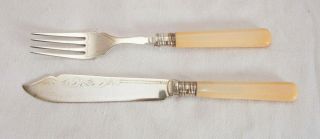 Vintage Wooden Cased Set of 6 Fish Knives & 6 Forks - EPNS 3