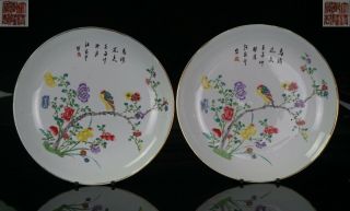 Fine Pair Antique Chinese Famille Rose Porcelain Plate Qianlong Mk 20c Republic
