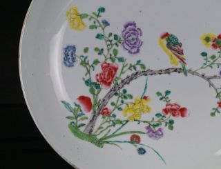 FINE Pair Antique Chinese Famille Rose Porcelain Plate QIANLONG MK 20C Republic 3
