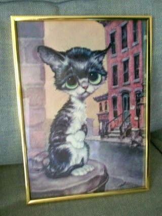 Big Sad Eyes Pitiful Cat Grey White Tabby Kitty Kitten Wall Art Picture Framed