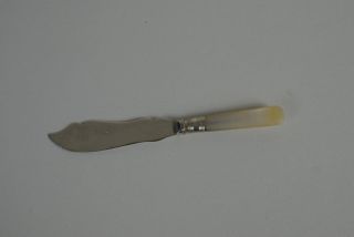 (ref165bb) Antique Mother Of Pearl Handled Silver Plated Butter Spreader Cutlery