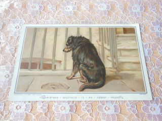 Victorian Christmas Card/dog Looking Through A Grill/prize Design/h&f