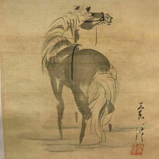 Chinese Painting Hanging Scroll China Horse Ink Asian Art Picture Antique D509
