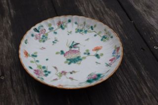 A Chinese Famille Rose Porcelain Plate With Tongzhi Mark & Period 5 2