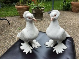 Set Of Two Boehm Limited Edition - Tumber Pigeons 416