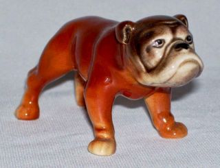 Goebel Vintage (tmk - 5) Porcelain Bulldog Figurine (ch 581/i) West Germany