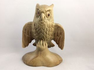 Owl Figuring Beautifully Hand Carved From Hibiscus Wood.