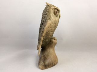 Owl Figuring Beautifully Hand Carved From Hibiscus Wood. 3