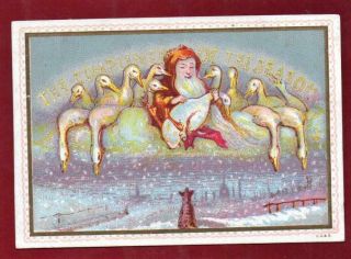 Victorian Goodall Father Christmas With Geese Christmas Greeting Card