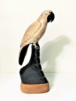 Parrot Hand Carved Buffalo Horn Bird Art Sculpture 14 " Glass Eyes Wood Base