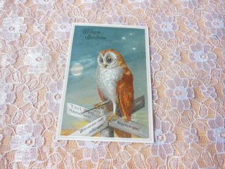 Victorian Christmas Card/owl Sitting On Crossroads Sign