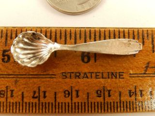 Sterling Salt Spoon Clam Shell Bowl Ornate 1 5/8 " Long Antique