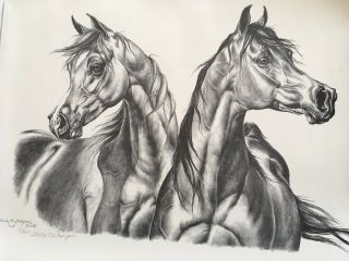 Willa Frayser Signed/numbered Print Arabian Horses Arabian Stallions