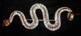 Swarovski Rhinestone Snake Brooch - Signed