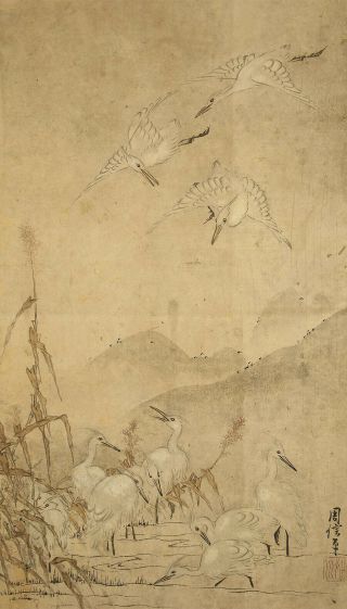 掛軸1967 Japanese Hanging Scroll : Kano Chikanobu " Many Egrets " @e671