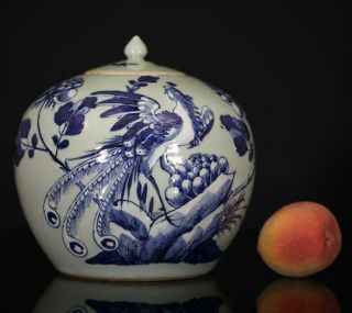 A Antique Chinese Porcelain Celadon Phoenix Jar 19th Century