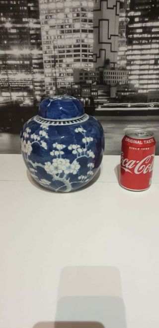 “a” Quality Large Chinese 19th Century Jar / Tea Caddy Kangxi Style