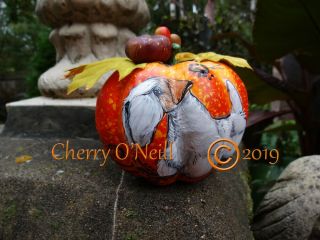 Rare Sealyham Terrier Faux Pumpkin Autumn Decorative Sealy Halloween