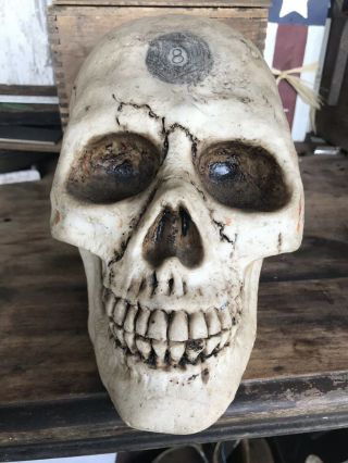 Fake Plastic Skull Skeleton Head Halloween Decor Spooky