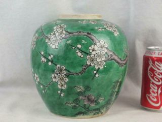Large 19th C Chinese Porcelain Flowering Prunus Green Ground Jars