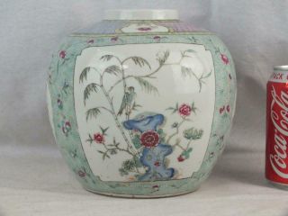 Fine 18th C Chinese Porcelain Famille Rose Bird Panelled Jar