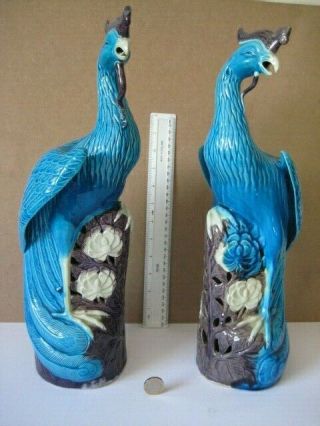 19/20c S X Large Pair Chinese Porcelain Tuquoise Blue Phoenix Bird Figures