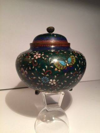 Antique Japanese Meiji Period Cloisonne Tea Caddie / Jar