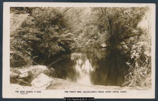 The Trout Pool,  Mcclelland 