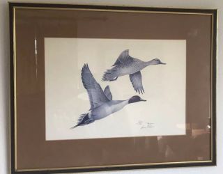 Louis Frisino Flying Ducks Print Signed And Numbered 310/500 Framed