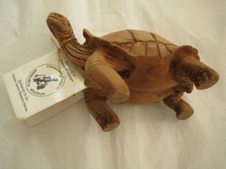 Vintage Hand Made By Artisans Of Galapagos Wood Tortoise Charles Darwin Research