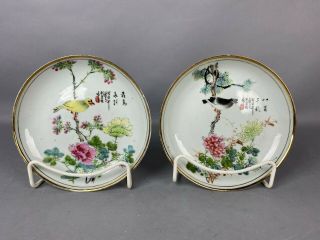 19th/20th C.  Chinese Pair Famille - Rose Birds Porcelain Plates