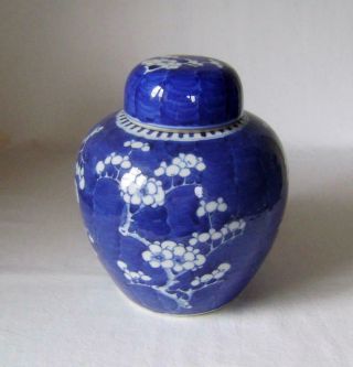 LARGE Antique Chinese Prunus Porcelain Vase with Lid 20 cm high Ginger Jar 2