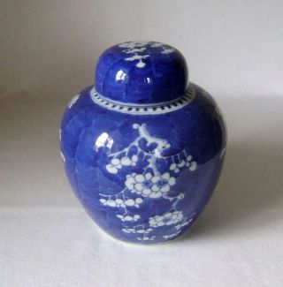 LARGE Antique Chinese Prunus Porcelain Vase with Lid 20 cm high Ginger Jar 3