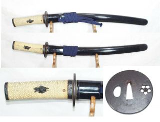 小脇差拵/kowakizashi Koshirae Japanese Sword Fitting Antique