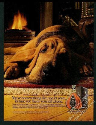 1988 Bloodhound Photo By Fireplace Courvoisier Xo Cognac Vintage Print Ad