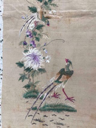Extraordinary Antique 19th Century Birds Chinese Silk Tapestry Embroidery