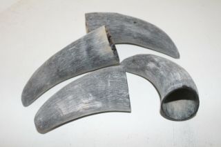 4 Cow Horn Tips V4b93 Raw Unfinished Cow Horns.