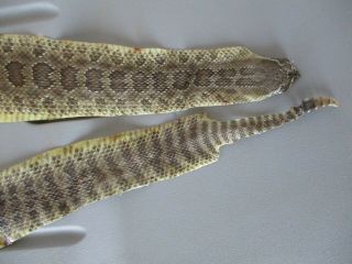 Rattlesnake Skin Prairie Rattler Hide Soft Tanned Bow Wrap Pen Blanks 29 In.  P7