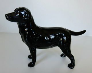 Pristine Royal Doulton Black Labrador Retriever Dog Figurine Hn 2667 Auth