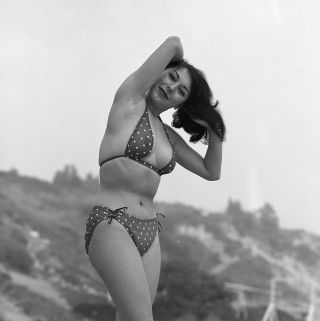 1950s Vogel Negative,  Sexy Pin - Up Girl Doris Gohlke At Beach In Bikini,  T250844