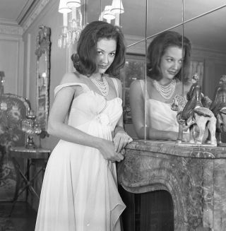 1960s Ron Vogel Negative,  Seductive Brunette Pin - Up Girl Michelle Swain,  T227182