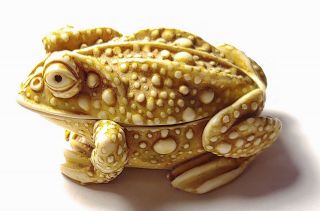 Toad Or Frog Resin Suprise Trinket Box 2 1/4 " - Crown Stamp