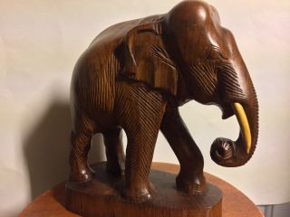 Vintage Hand Carved Teak Elephant,  Tusks,  Big And