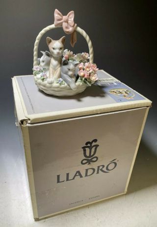 Lladro 1444 " Purr - Fect " 3 Kittens In A Basket Of Flowers Figurine
