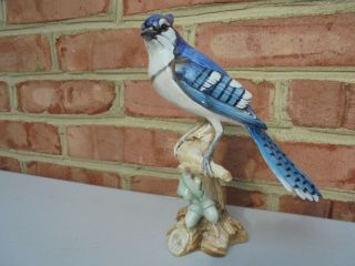 Tay Italy Porcelain Blue Jay Bird Figure 8 "