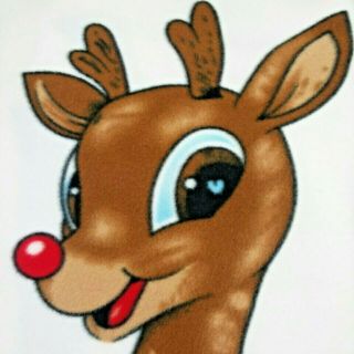 Vintage Rudolph Rudolf Red Nose Reindeer Island O Misfit Toys Fleecethrow 56x58 "