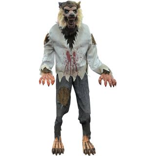 Life Size Lurching Werewolf Halloween Animated Prop
