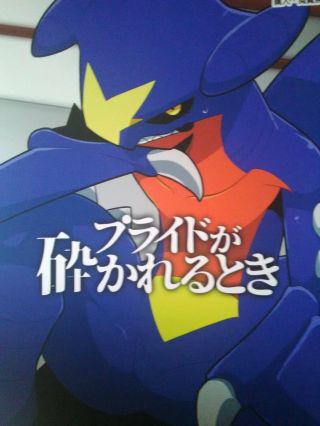 Pokemon Doujinshi Garchomp Main (b5 20pages) Kemono Furry Pride Ga Ikagerira