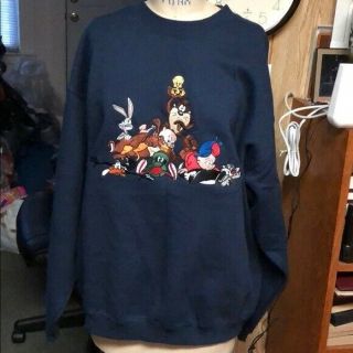 Warner Brothers Studio Store Looney Tunes Navy Embroided Sweatshirt Size Large