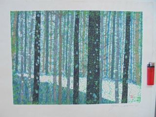 Japanese Woodblock Print,  Junichiro Sekino,  Spring Forest,  Large,